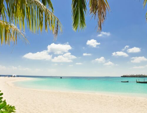 Maldivi